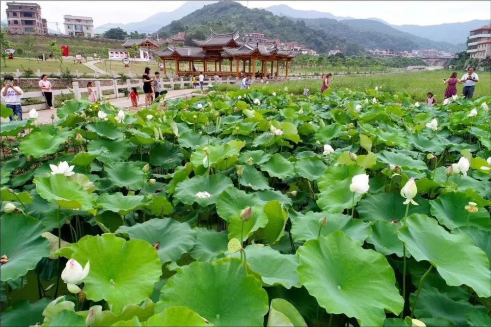 我们的新时代泉州安溪蝶变中的经兜村