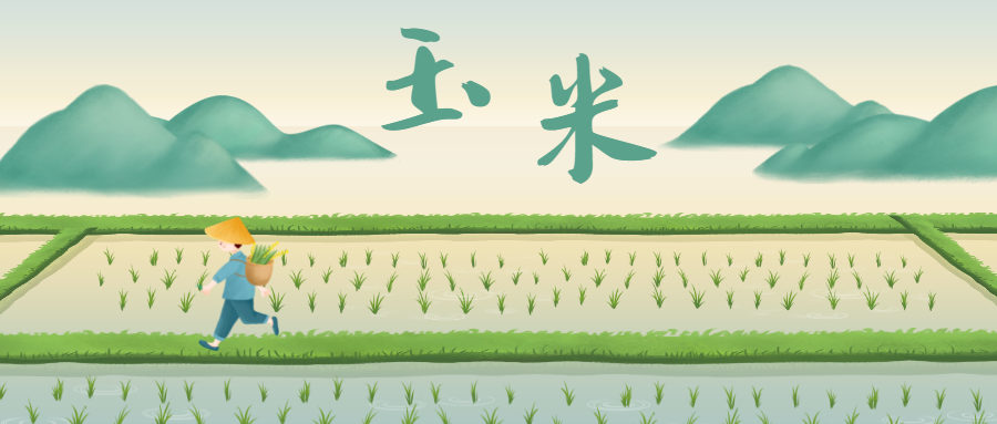 消之宝