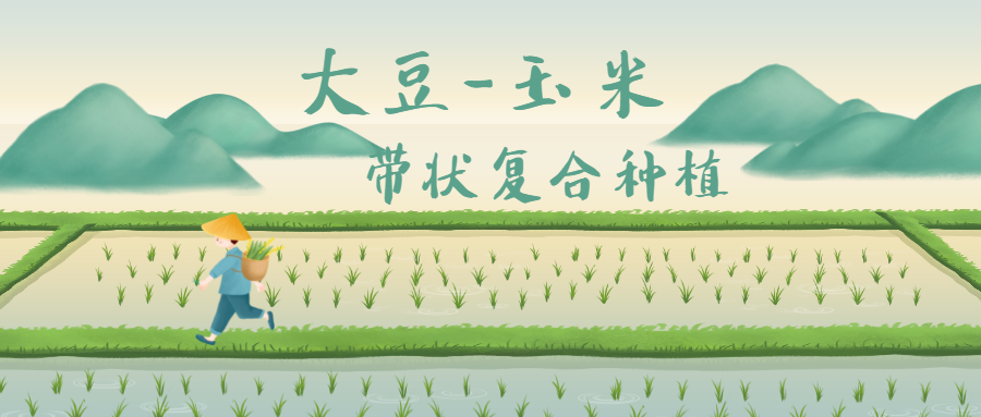 消之宝