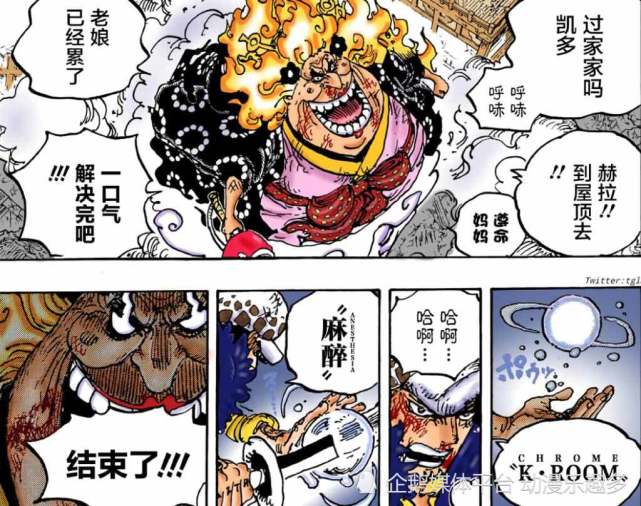 海贼王:手术果实的另外两个名字:寂静果实,橡胶果实