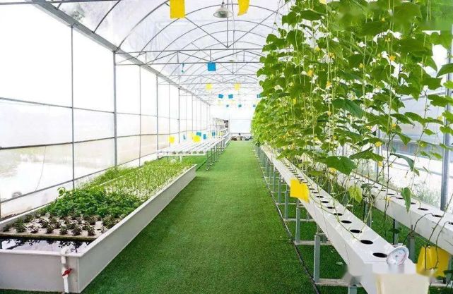 品牌农业|中国将进入"生态高值农业"时代:产品功能化,模式生态化!