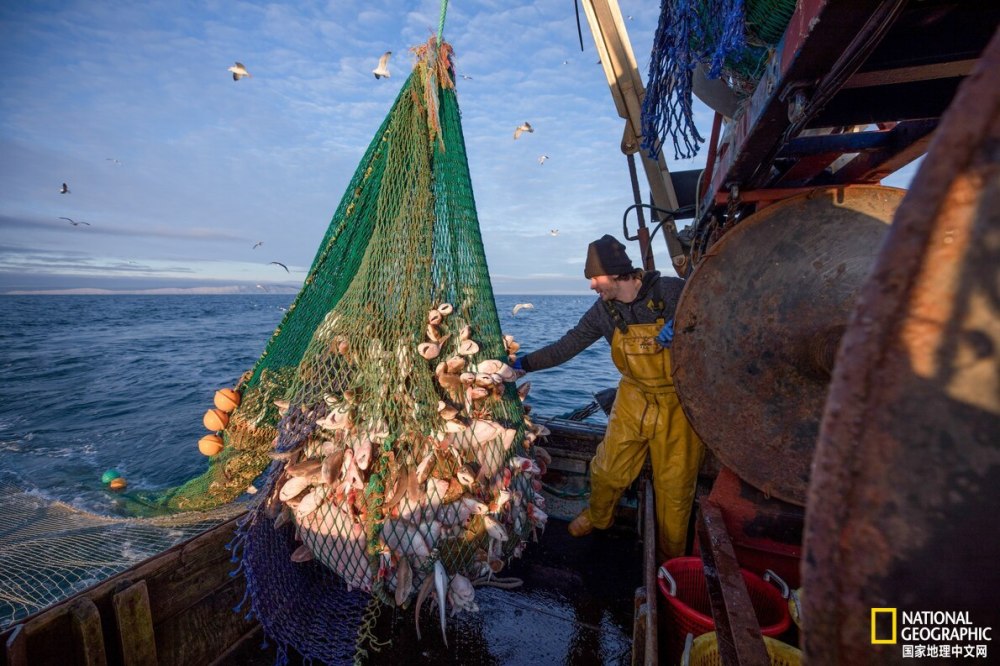 过度捕捞如何威胁世界海洋