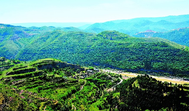 2022年渭南计划造林57.87万亩