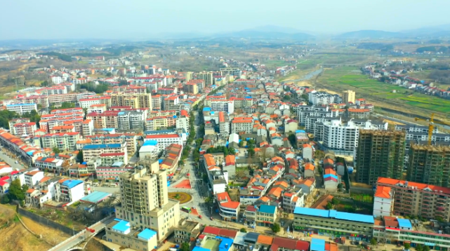 实干与担当大悟县河口镇打造乡村振兴示范镇争当孝汉同城排头兵