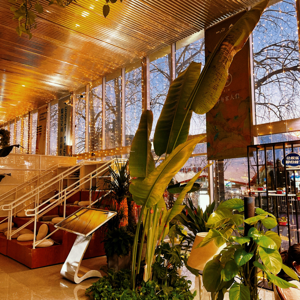 植树节来郎园park认养一棵小树吧