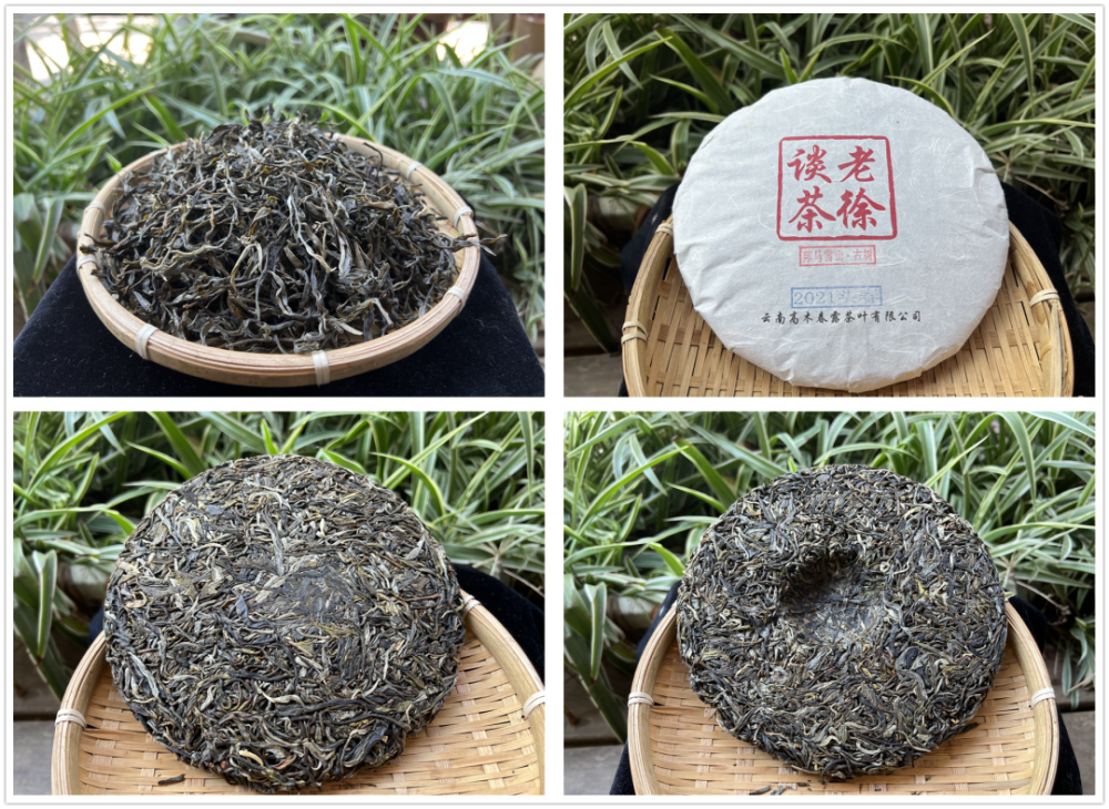 2021头春邦马大雪山古树茶优享茶香浓郁茶气足韵味好