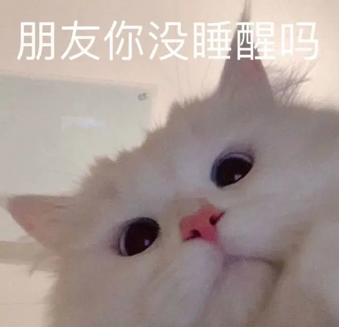 聊天必备表情包286可爱搞怪沙雕表情包