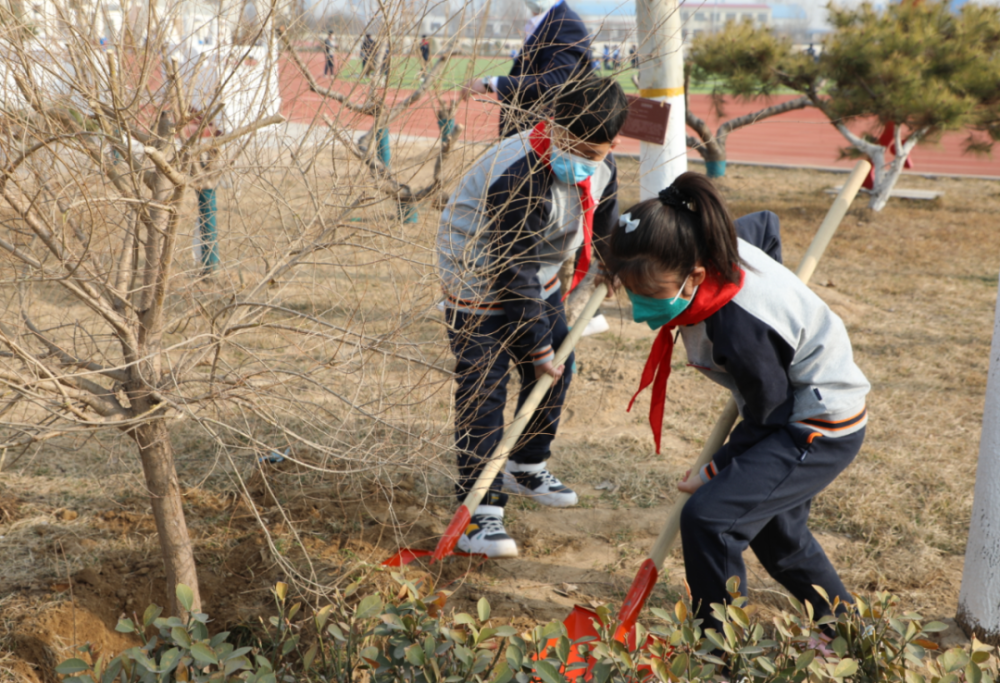 种树就是种幸福定州市开元学校开展植树节活动