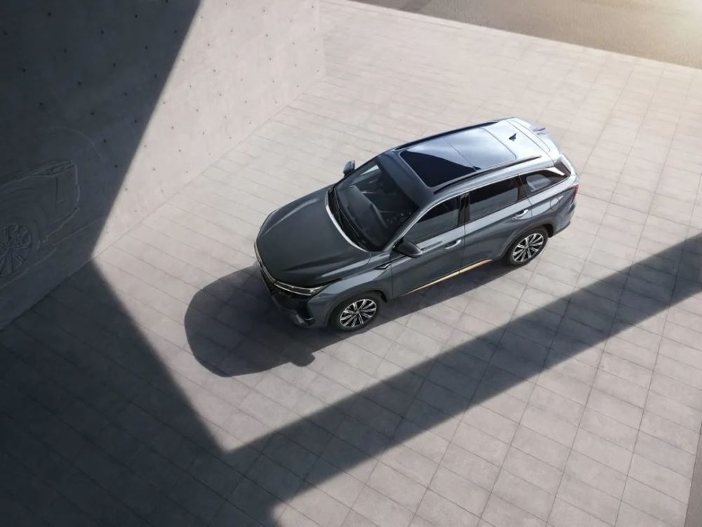 狗狗智力排行_幽默搞笑,动图分享|彩蛋|开心一刻|智商|椅子_网易订阅