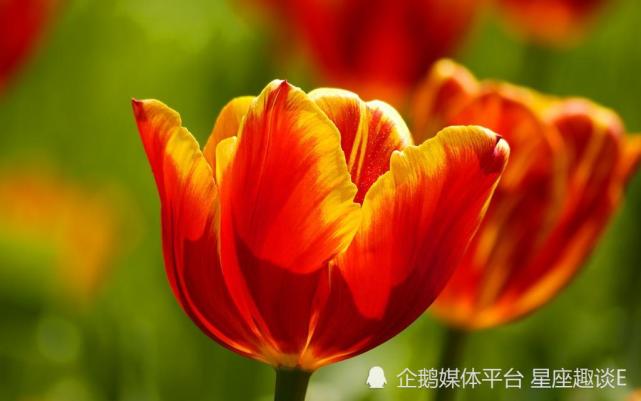 3月10日星座运势 集思广益 突破禁锢的四大星座 腾讯网