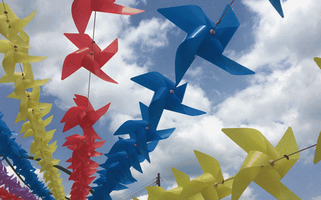 哇门票免费送林拥城首届风车艺术节暨樱花文化旅游节3月12日盛大开园