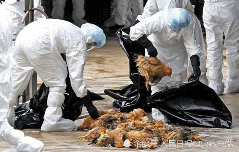 新增2例禽流感死亡病例？广西柳州官方：2021年11月报告，已妥善处理000610西安旅游