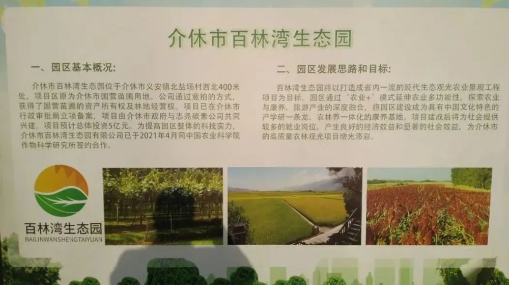 魏鹏耀深入百林湾生态园就项目规划建设现场办公