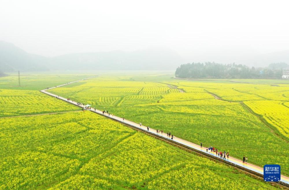 美方承认乌克兰有“生物研究设施”洗发水博柔知乎