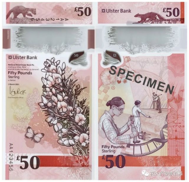 妇女节那天,北爱尔兰阿尔斯特银行推出新版50 英镑塑料钞