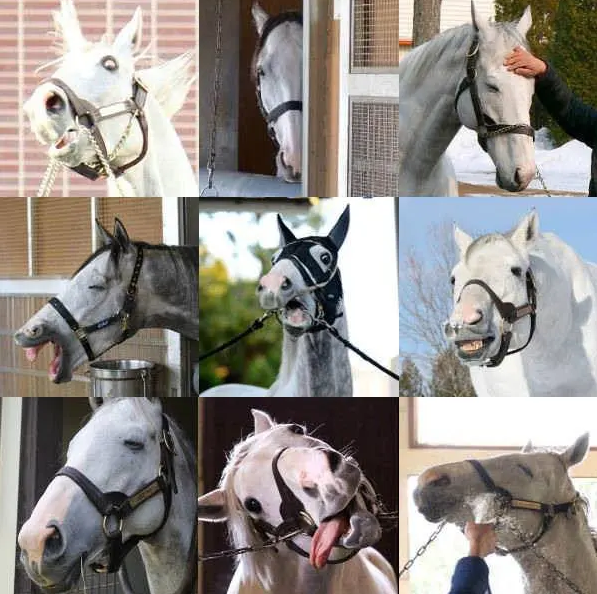 我怎么就沉迷上看萌妹子跑步了