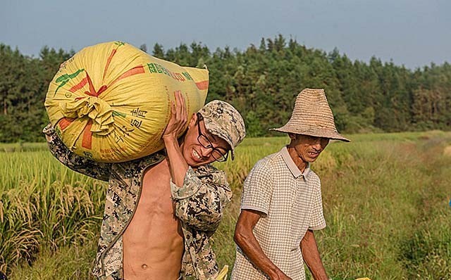 放弃年薪20万回乡种田,父亲要与他断绝关系,现年销售超过600万_腾讯