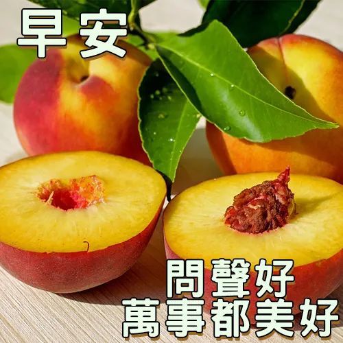 朋友圈最美的早安动态唯美祝福图片,早上好微信问候语表情包图片