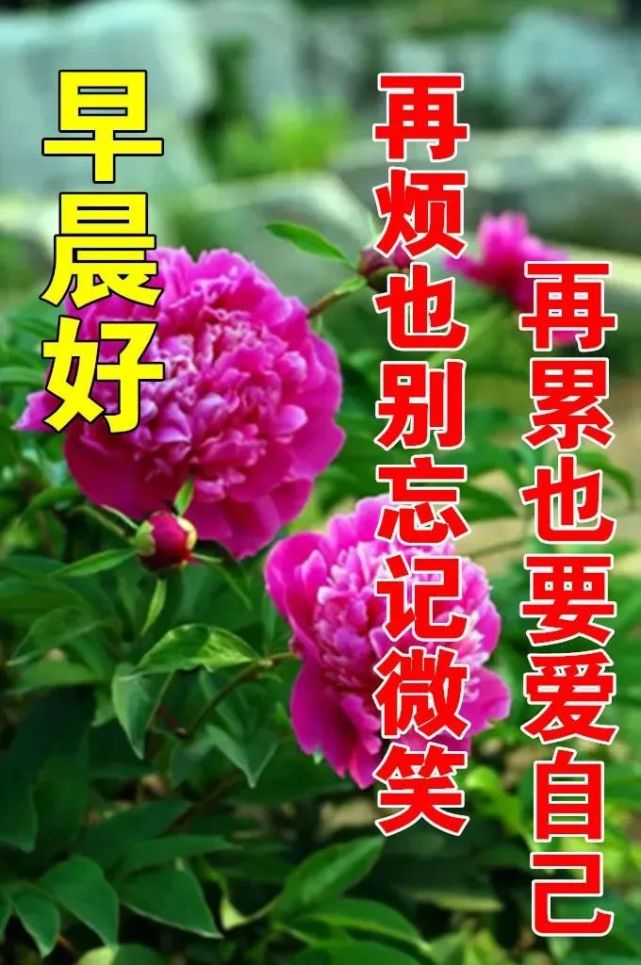 2022年3月10日特漂亮最新版早安动态图片 阳春三月早上好祝福语句子!