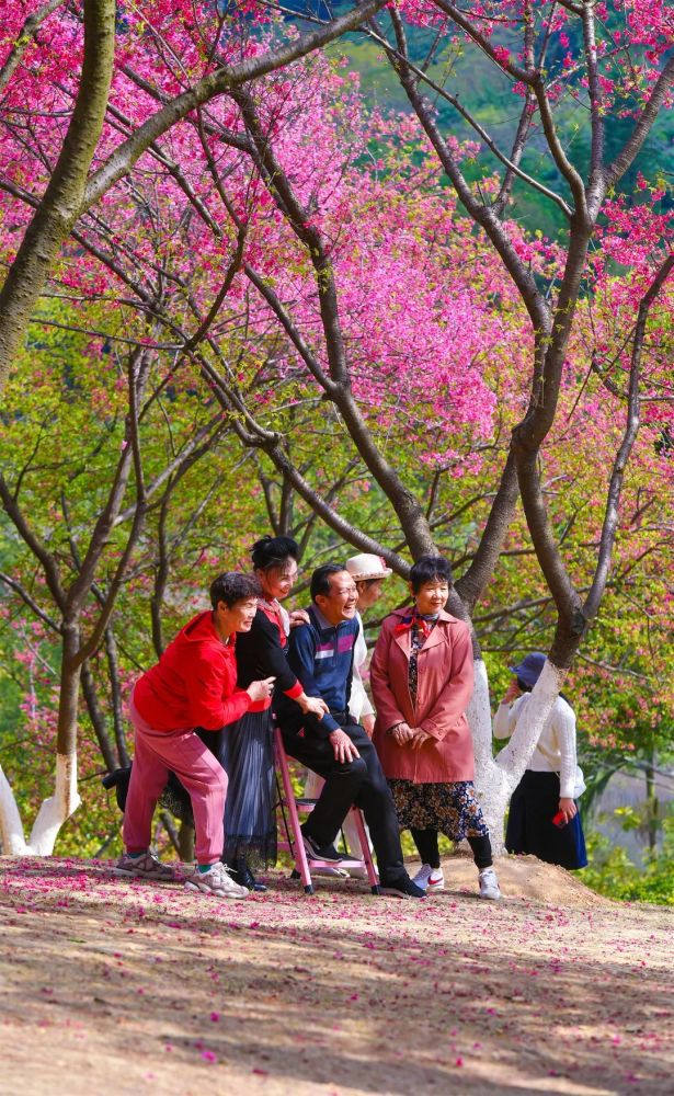 一张张笑脸煞是可爱欢声笑语点亮了整个春天人们换上缤纷的春装田间地