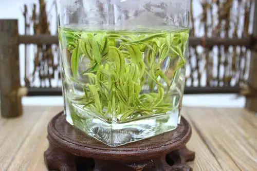 安吉白茶冲泡指南