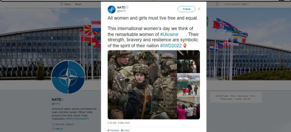翻车！乌克兰女兵身配纳粹标识，北约却称其代表“乌克兰精神”2021最近热点事件及点评