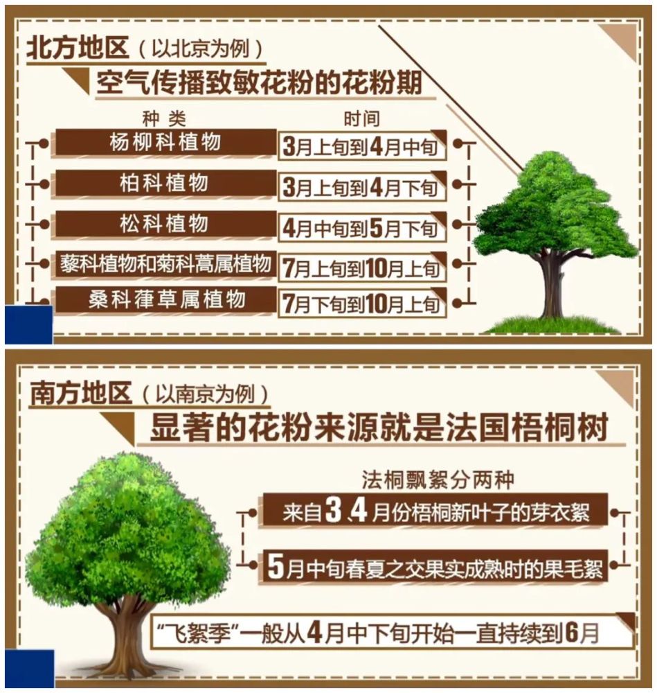 一場雷暴後 近400名兒童臉色發青 哮喘 窒息 天天看點