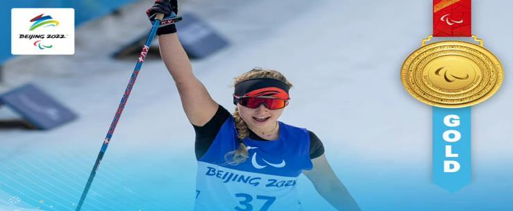 十大狗粮排行榜单_最新手机销量TOP10,小米独占六席,榜单“老熟人”了