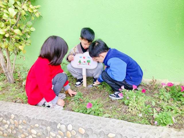 "植绿,护绿,爱绿,兴绿",这群幼儿园娃忙得不亦乐乎