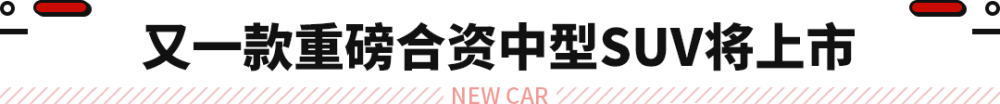 葱油螺片的做法大众福特buzz车销量入门马步野语文怎么样