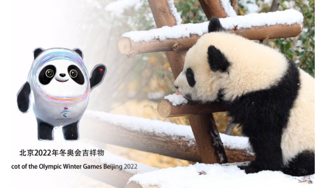 冰墩墩熊猫原型图片