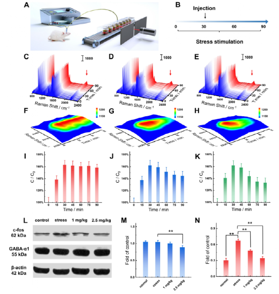 液体界面sers平台检测脑微透析液去甲肾上腺素
