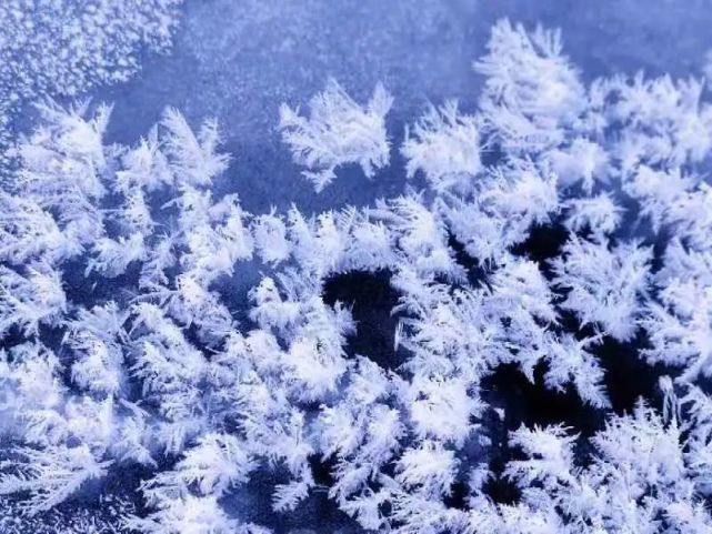 不冻河上"长"冰花 亦冰亦雪亦成春67