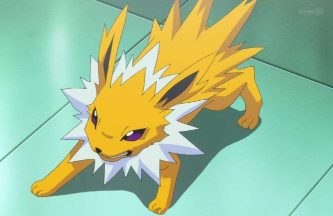 宝可梦拥有高速与优良输出雷伊布特性如果是避雷针就好了