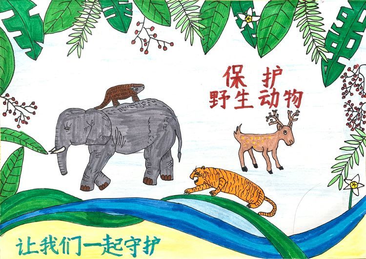 振興路小學三年級學生動物繪畫《保護野生動物》振興路小學五年級學生