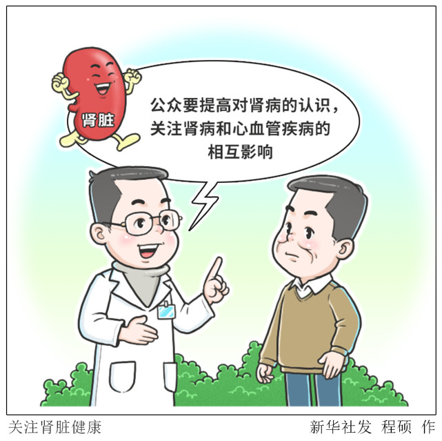 (图表·漫画)【医卫】关注肾脏健康