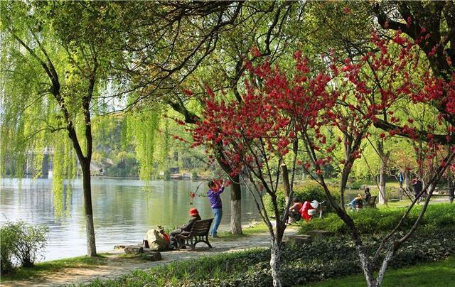 三月去南方旅游记录的简单介绍