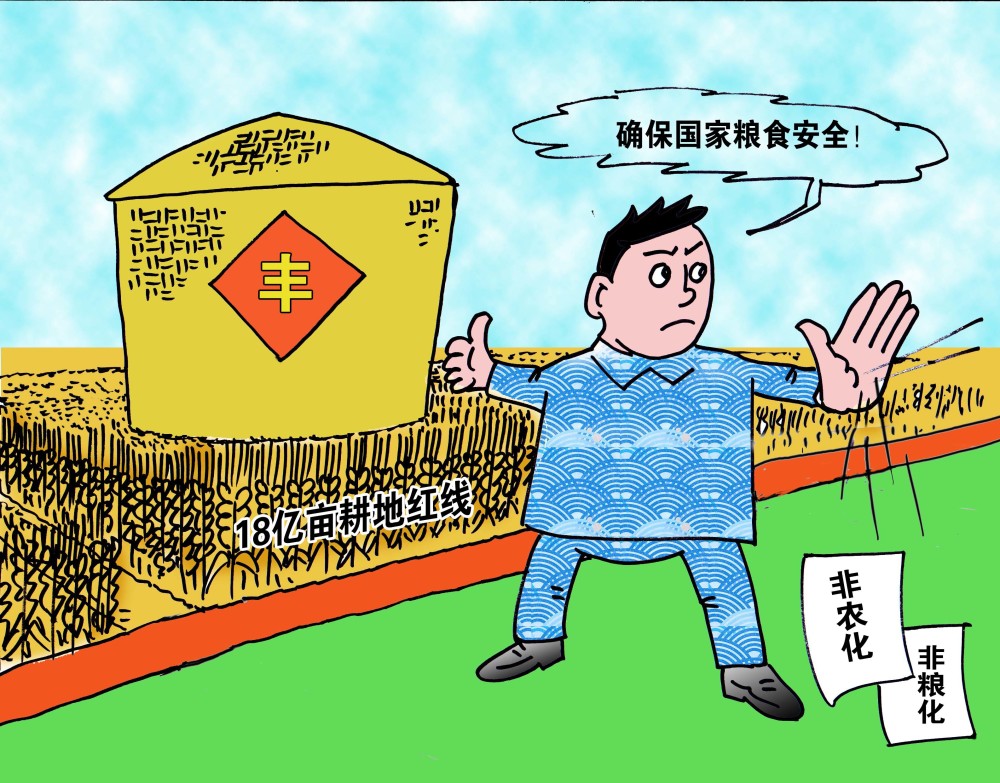 漫画:确保国家粮食安全 中新社发 唐志顺 绘据英国《泰晤士报》途站