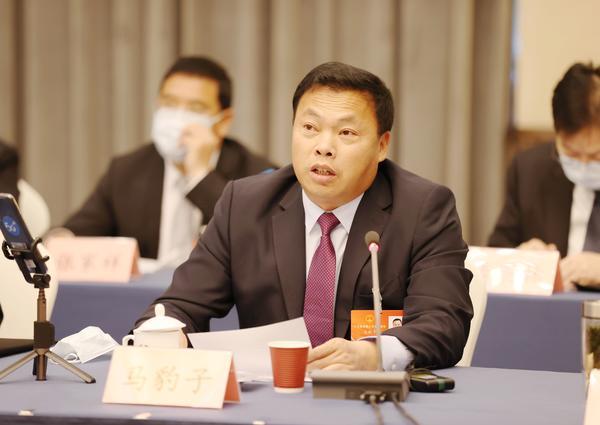 "3月9日,全国人大代表,宝丰县赵庄镇大黄村党支部书记马豹子说,推进