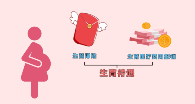 她把卫健委告了:非婚妈妈的生育权,谁来保障?