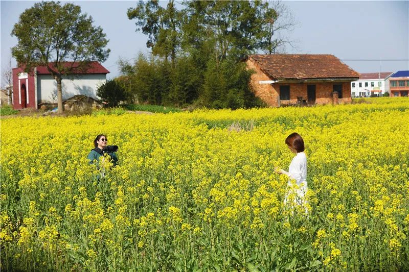 导航搜索石牛江镇小坡头村村委从桃江县城出发,仅需15分钟~融媒体记者