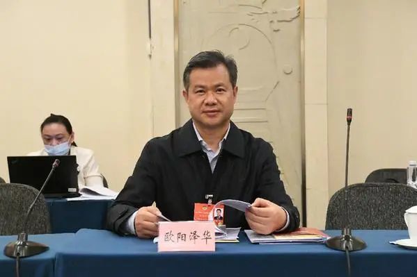 【委员同声】全国政协委员欧阳泽华:成渝共建西部金融中心将为西部