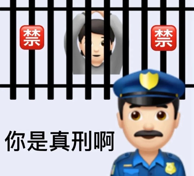 表情包你是真刑啊