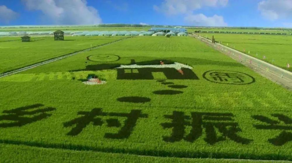 定调2022农业依旧是主角未来可期