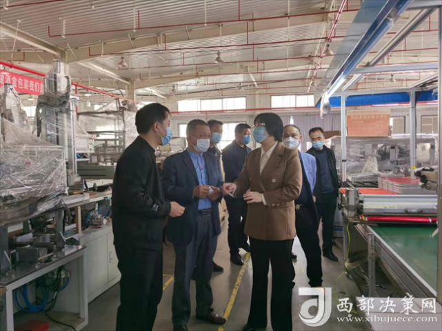 宝鸡凤翔满眼春风迎客商雍城柳绿引项目