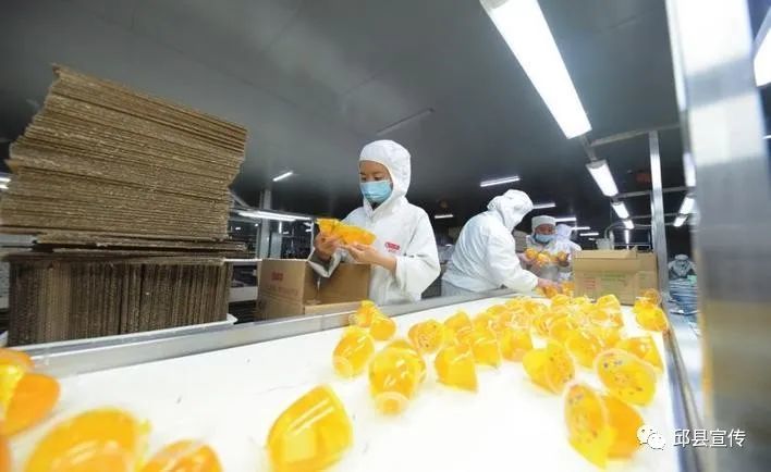 邯郸日报专版刊发▏看似寻常最奇崛成如容易却艰辛邱县赶超发展加速