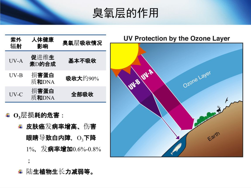 氯氟烃类化合物就比较具有迷惑性,在低空的时候,它非常稳定,没啥危害