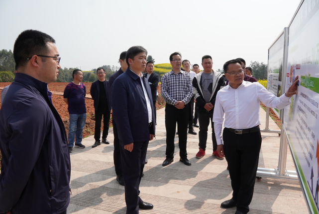 雷涛带队调研农业农村工作