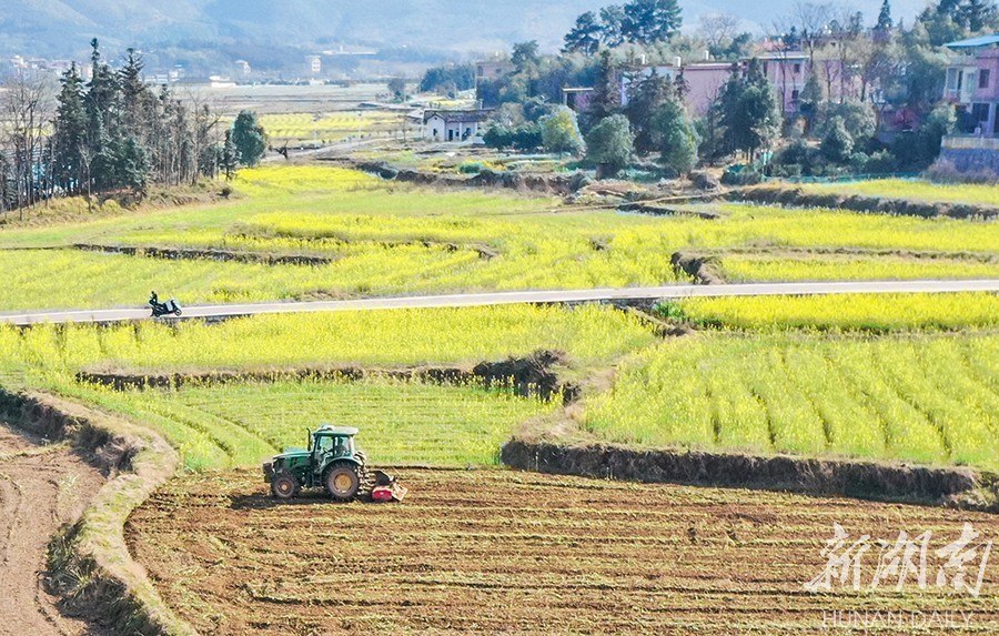 3月10日,藍山縣塔峰鎮六七甲村,村民駕駛農機在翻耕土地.