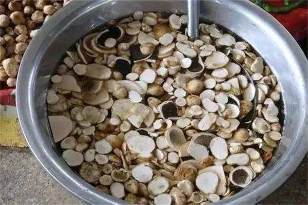 人称马粪包儿时用石头砸烂如今一斤150元成稀罕山货